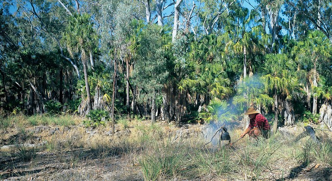 Image courtesy of Tourism Queensland