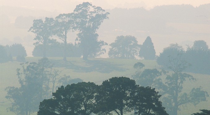 Image courtesy of Tourism Victoria