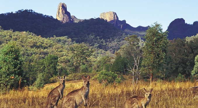 Image courtesy of Tourism New South Wales