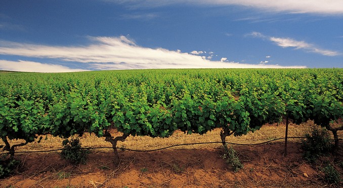Image courtesy of South Australia