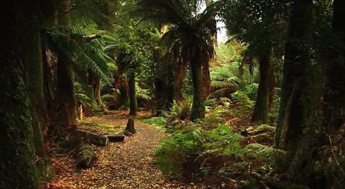 Image courtesy of Tourism Tasmania