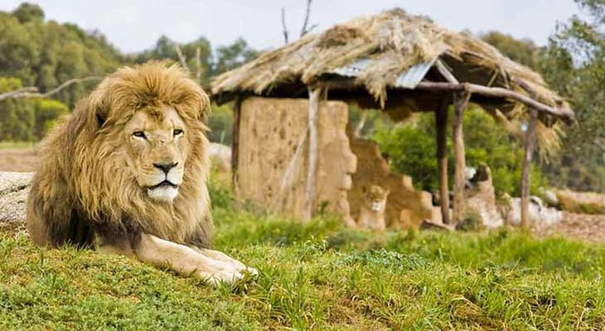Image courtesy of Tourism Victoria