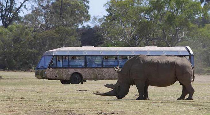 Image courtesy of Tourism Victoria