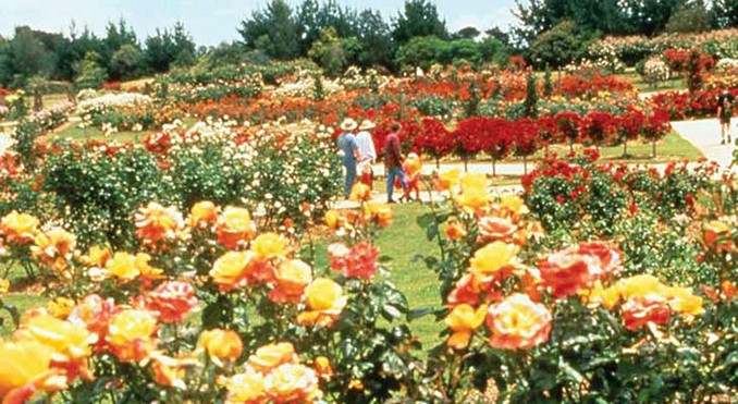Image courtesy of Tourism Victoria