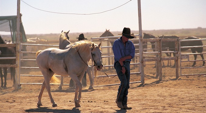 Image courtesy of South Australia