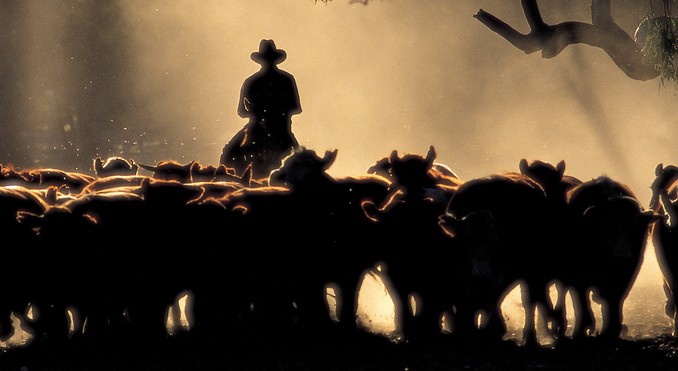 Image courtesy of South Australia