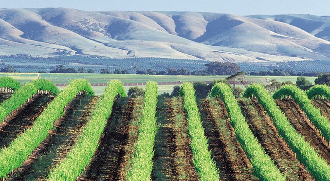 Image courtesy of South Australia