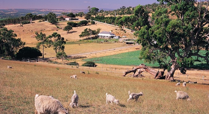 Image courtesy of South Australia