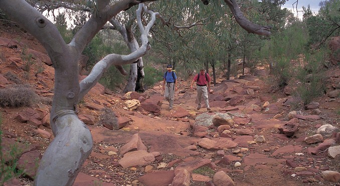 Image courtesy of South Australia