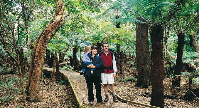 Image courtesy of Tourism Victoria
