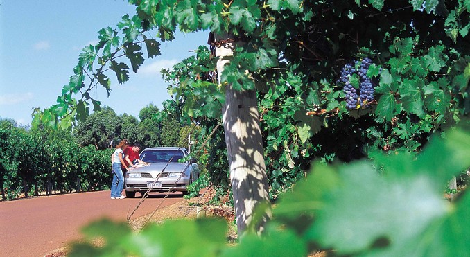 Image courtesy of Western Australia