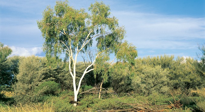 Image courtesy of Tourism Queensland