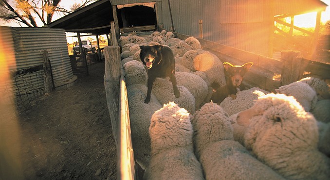 Image courtesy of Tourism Queensland