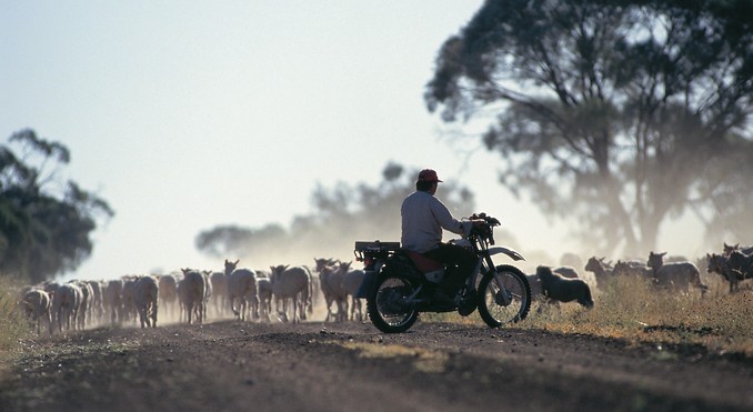 Image courtesy of Tourism Queensland