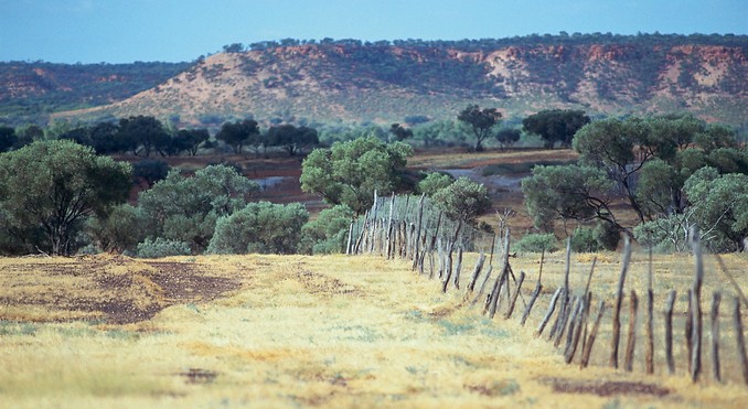 Image courtesy of Tourism Queensland
