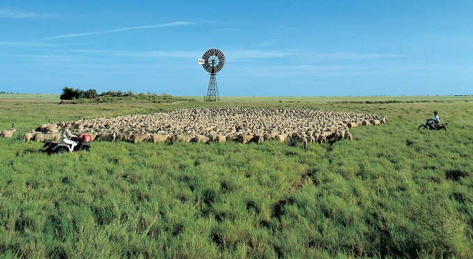 Image courtesy of Tourism Queensland