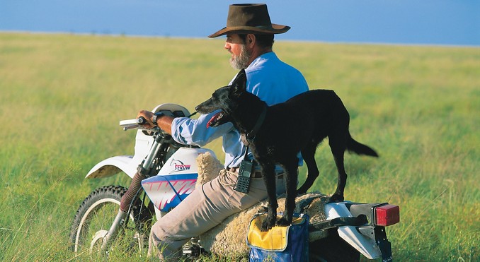 Image courtesy of Tourism Queensland