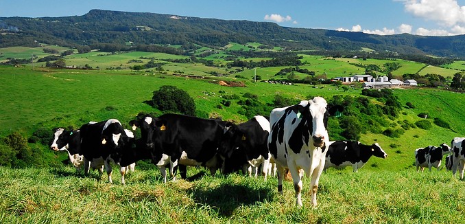 Image courtesy of Tourism New South Wales