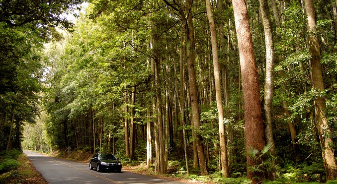 Image courtesy of Tourism New South Wales