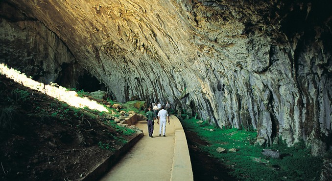 Image courtesy of Tourism New South Wales