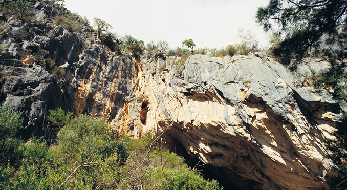 Image courtesy of Tourism New South Wales