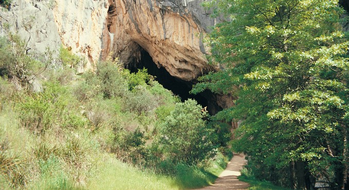 Image courtesy of Tourism New South Wales