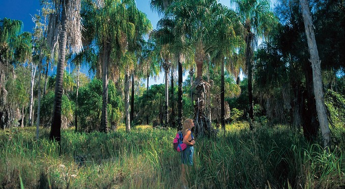 Image courtesy of Tourism Queensland