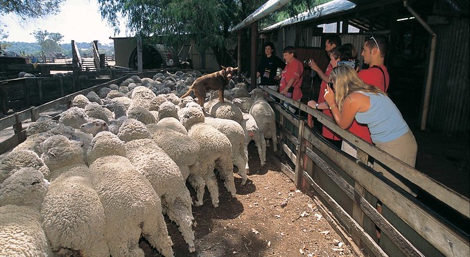 Image courtesy of Western Australia