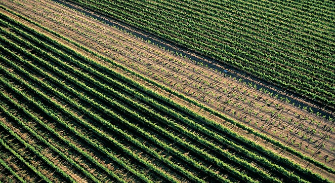 Image courtesy of Western Australia