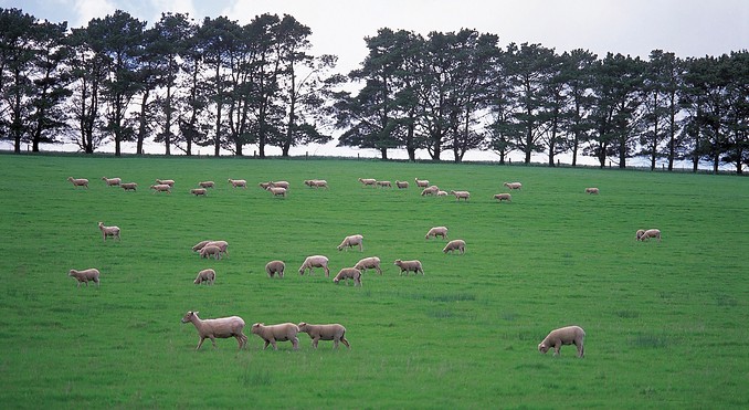 Image courtesy of South Australia