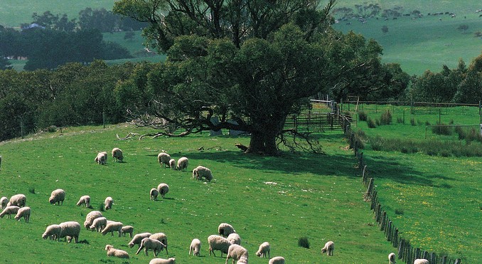 Image courtesy of South Australia