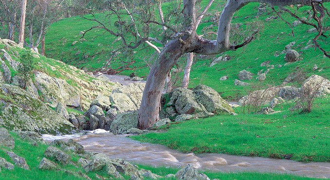 Image courtesy of South Australia