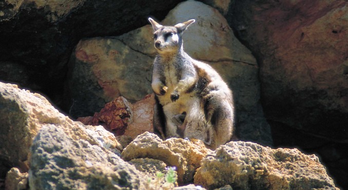 Image courtesy of Western Australia