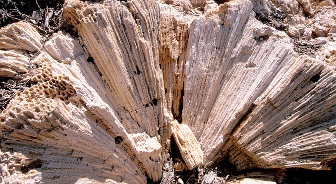 Image courtesy of Western Australia
