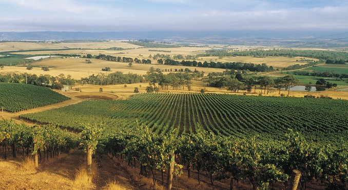 Image courtesy of Tourism Victoria
