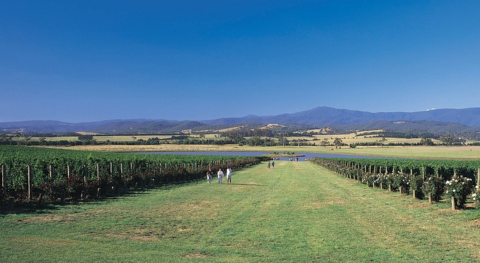 Image courtesy of Tourism Victoria