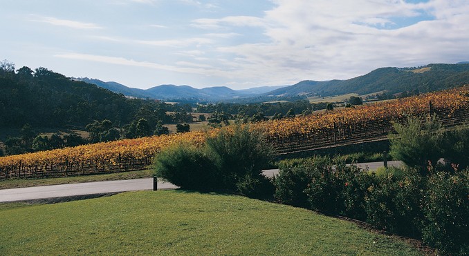 Image courtesy of Tourism Victoria