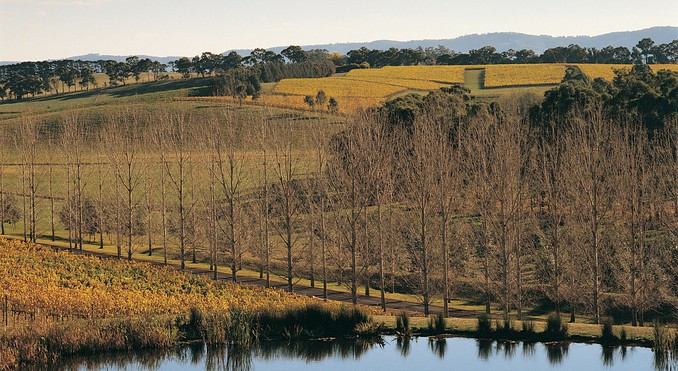 Image courtesy of Tourism Victoria