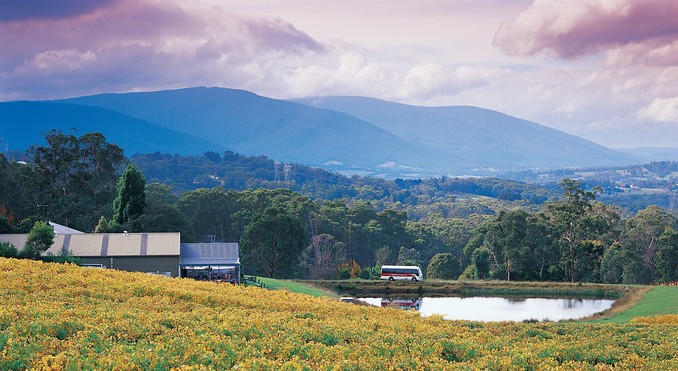 Image courtesy of Tourism Victoria