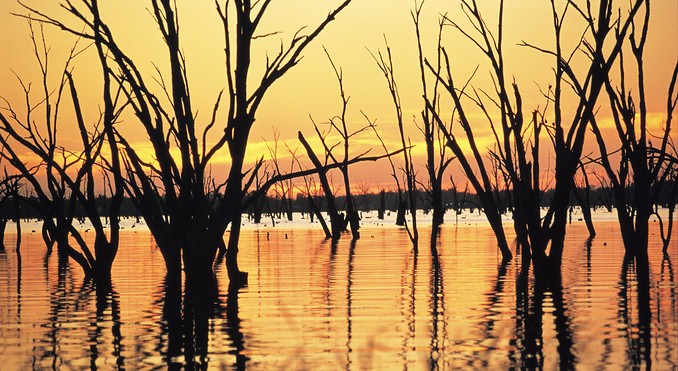 Image courtesy of Tourism Victoria
