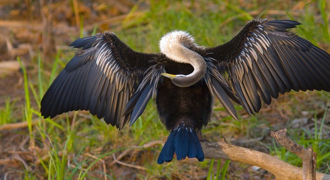 Image courtesy of Tourism NT