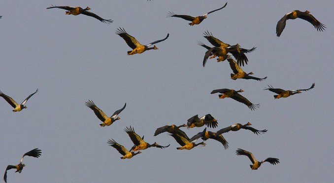 Image courtesy of Tourism NT