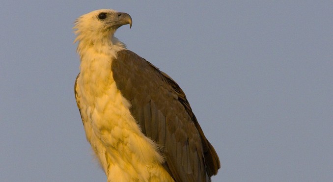 Image courtesy of Tourism NT