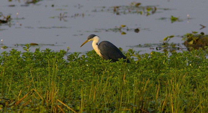Image courtesy of Tourism NT