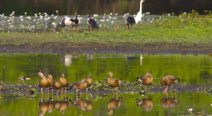 Image courtesy of Tourism NT