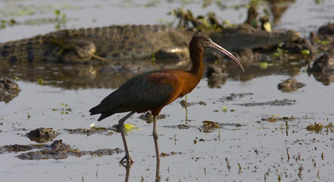 Image courtesy of Tourism NT