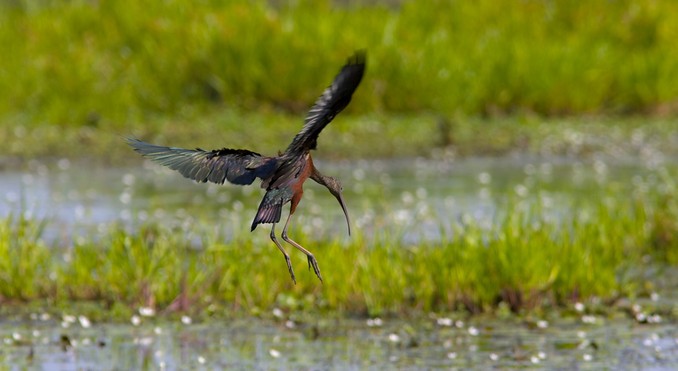 Image courtesy of Tourism NT