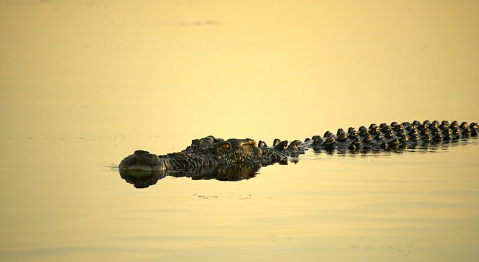 Image courtesy of Tourism NT