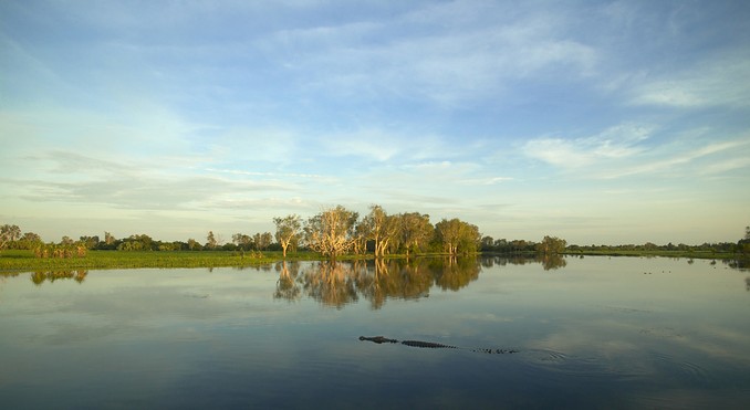 Yellow Water