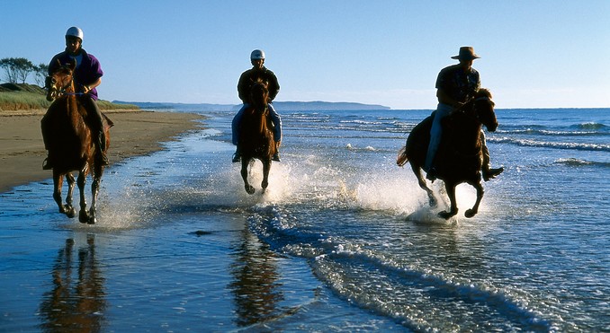 Image courtesy of Tourism Queensland